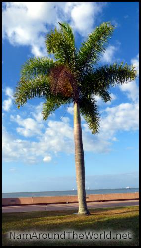 Cairns