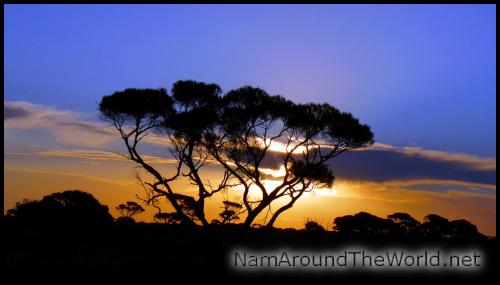Western Australia, quelque part sur la route | Western Australia, somewhere on the road